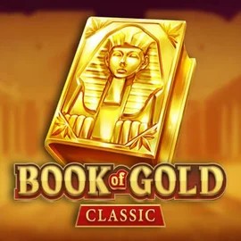 game logo by Playson on casinoks.de