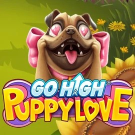 game logo by RubyPlay on casinoks.de